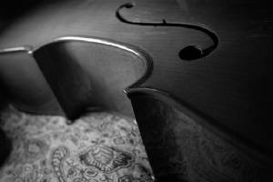 WebCello.jpg
